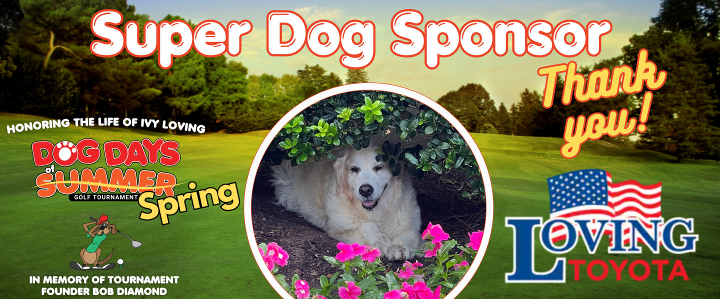 Thank you to our Super Dog Sponsor, Loving Toyota. Honoring the Life of Ivy Loving!
